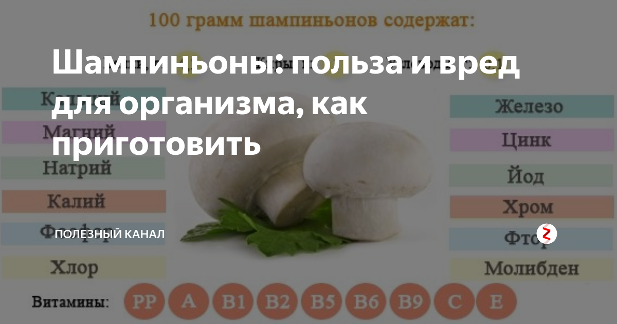 С какого возраста можно давать детям шампиньоны. Витамины в шампиньонах. Витамины шампиньоны грибы. Витамины содержащиеся в шампиньонах. Что полезного в шампиньонах.