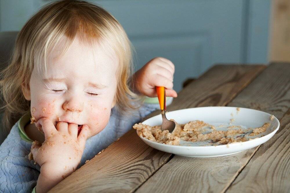 Ребенок не ест мясо. стоит ли заставлять? | nutrilak