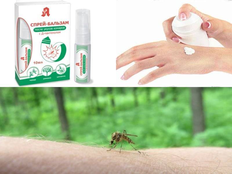 Как защитить ребенка от укусов комаров: народные средства для детей до года и старше