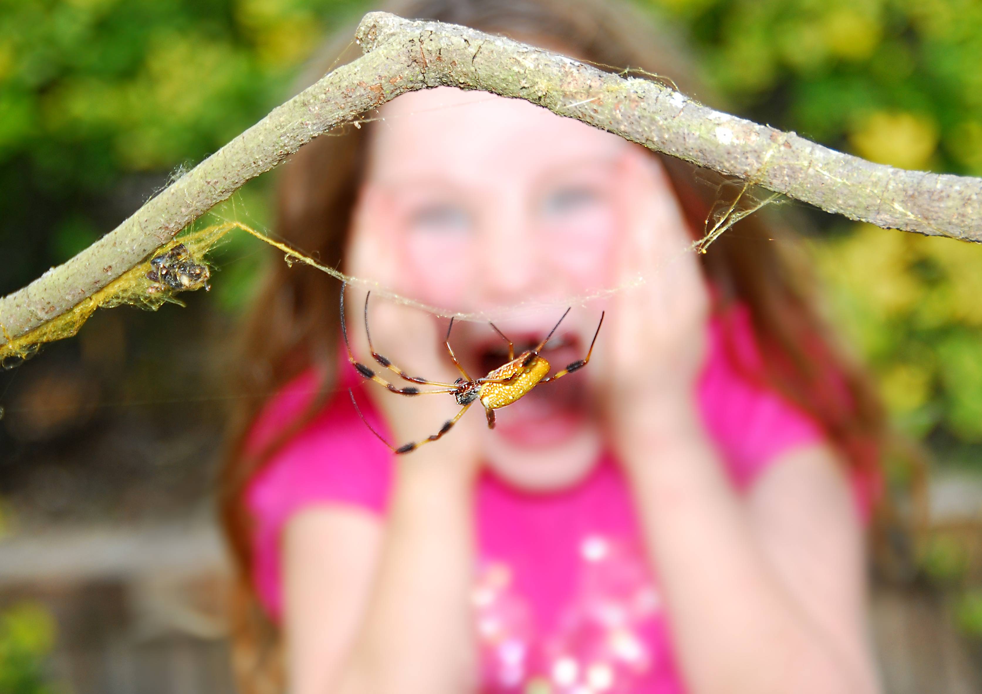 Ребенок панически боится насекомых до истерики - что делать?