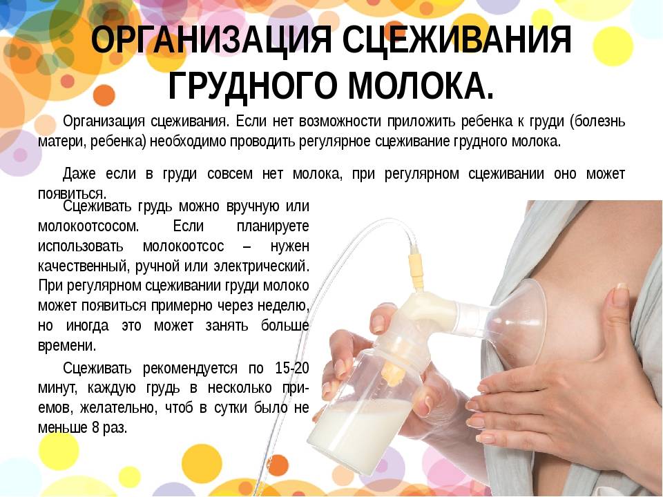 Массаж во время грудного вскармливания: можно ли делать кормящей маме