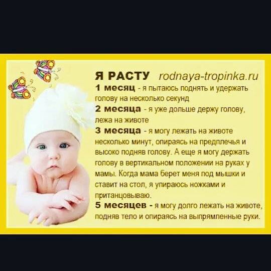 До какого возраста формируется череп у младенца - детская городская поликлиника №1 г. магнитогорска