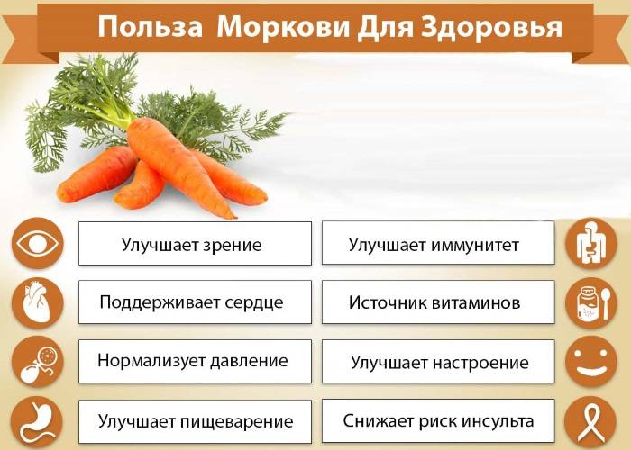 Морковь при беременности: можно ли есть на ранних сроках, в 2 и 3 триместр, чем полезна во время вынашивания, польза и вред сырой, почему хочется свежей, отзывы