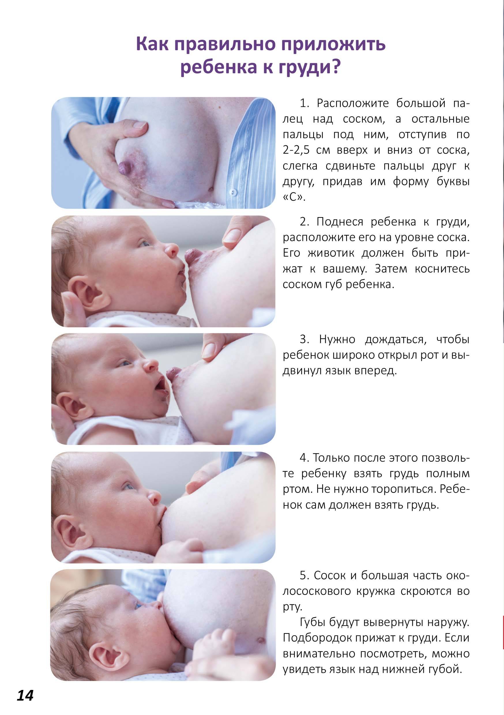 Жвачка при гв: можно ли жевать резинку при грудном вскармливании новорожденного, зачем это делать, какую выбрать, чем заменить, а также состав продукта, польза и вред