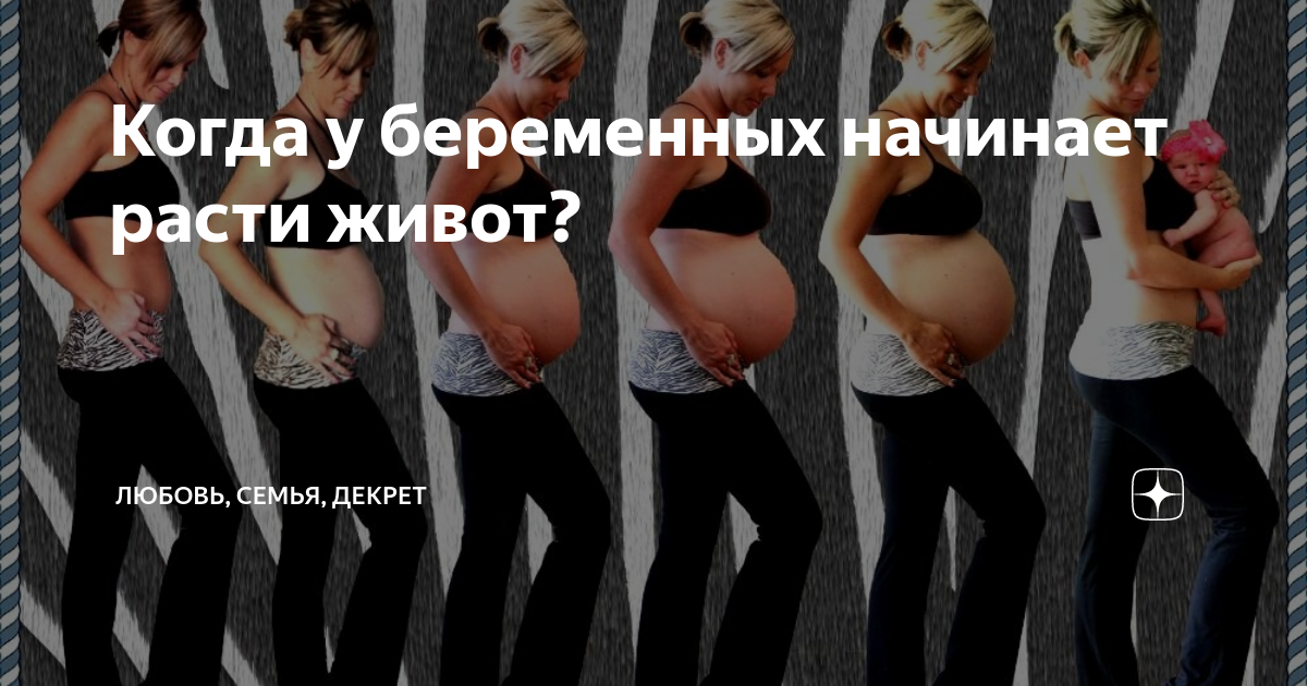 Нормы роста живота у беременных