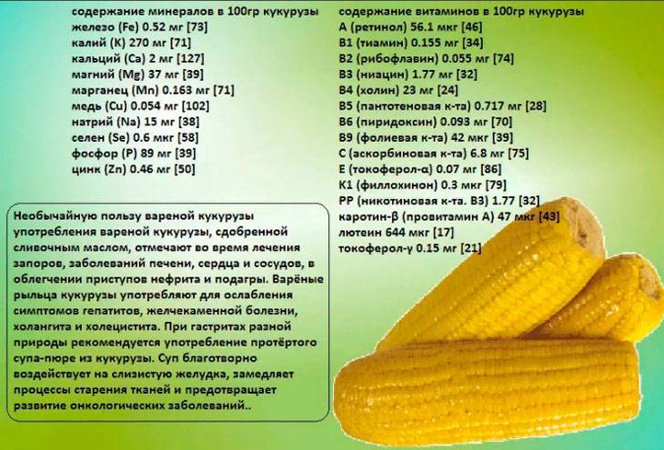 Диета кормящей мамы – что можно кушать при грудном вскармливании (гв) - agulife.ru