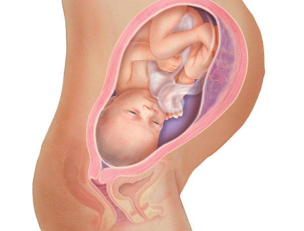 35 неделя беременности: ощущения, признаки, развитие плода