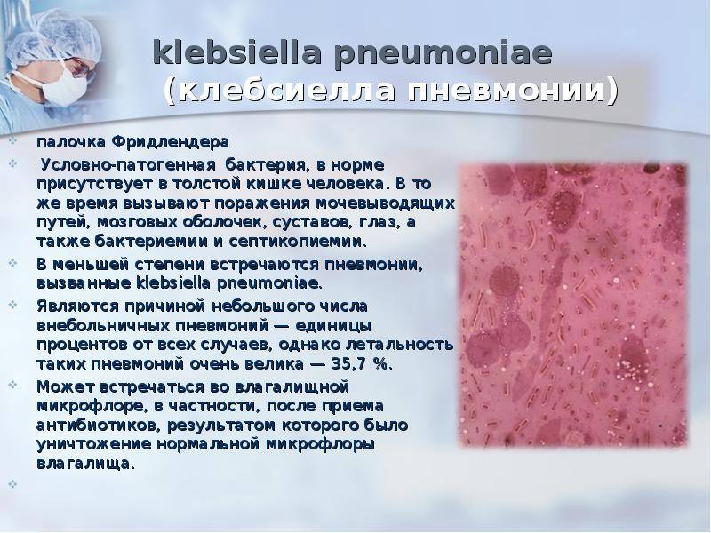 Запоры при дисбактериозе | фитомуцил норм