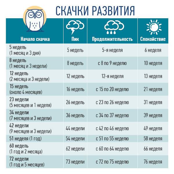 Развитие ребенка от 1 года до 2 лет – этапы развития малыша от года до двух лет - agulife.ru