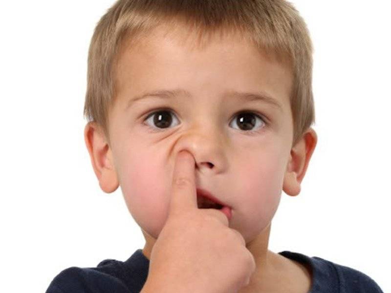 Что делать, если ребенок постоянно ковыряется в носу