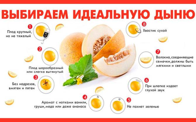 Разрешено ли маме, которая кормит малыша грудью, лакомиться мандаринами? мнение врачей