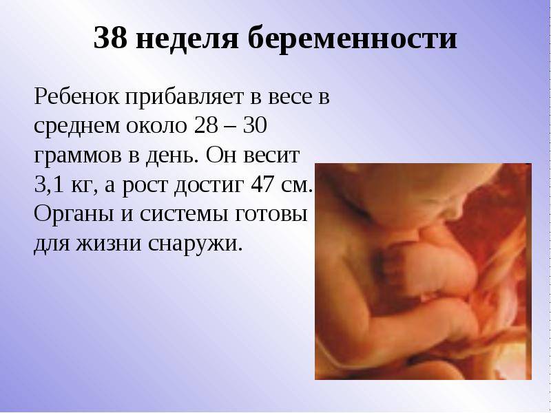 ᐉ с какого срока беременность считается доношенной? на каком сроке беременность считается доношенной - ➡ sp-kupavna.ru