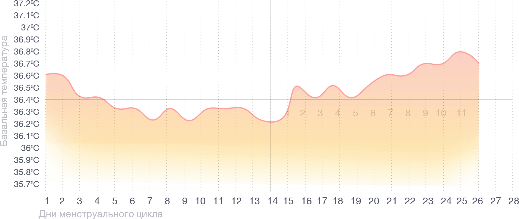 Менструальный цикл график. Менструальный цикл график температуры. График нормального менструационного цикла. Цикл при месячных график температуры.