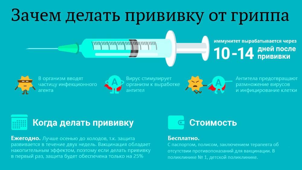 Почему так важно прививаться от гриппа в 2017 — 2018 году? Рассказывает детский инфекционист