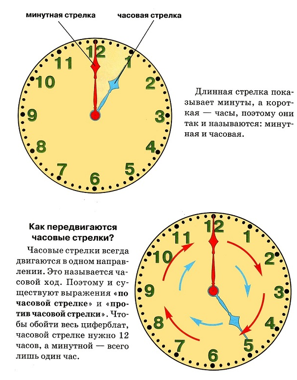 Как научить ребенка определять время по часам? - mama.ru