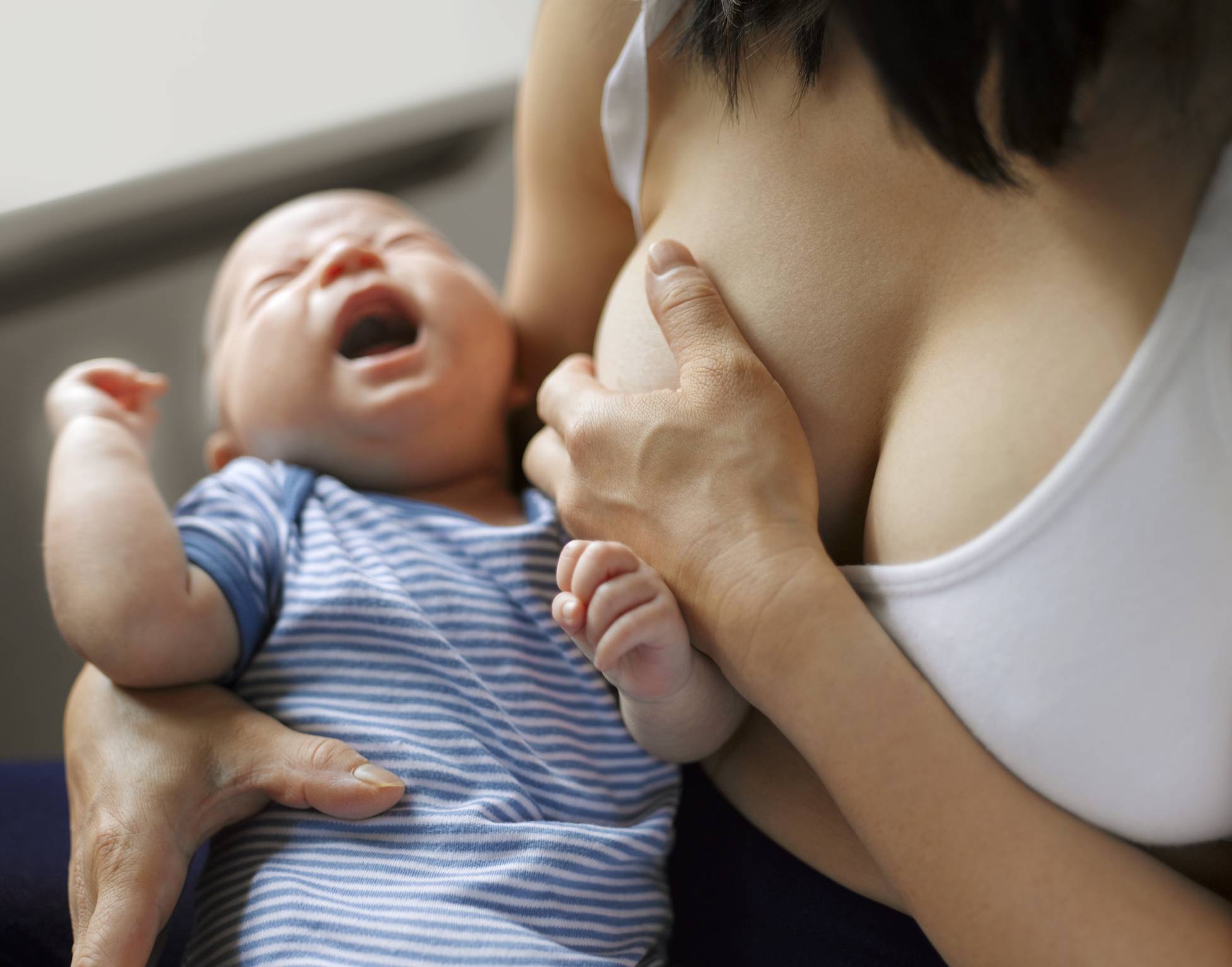 Ребёнок постоянно требует материнскую грудь. причины и способы решения проблемы