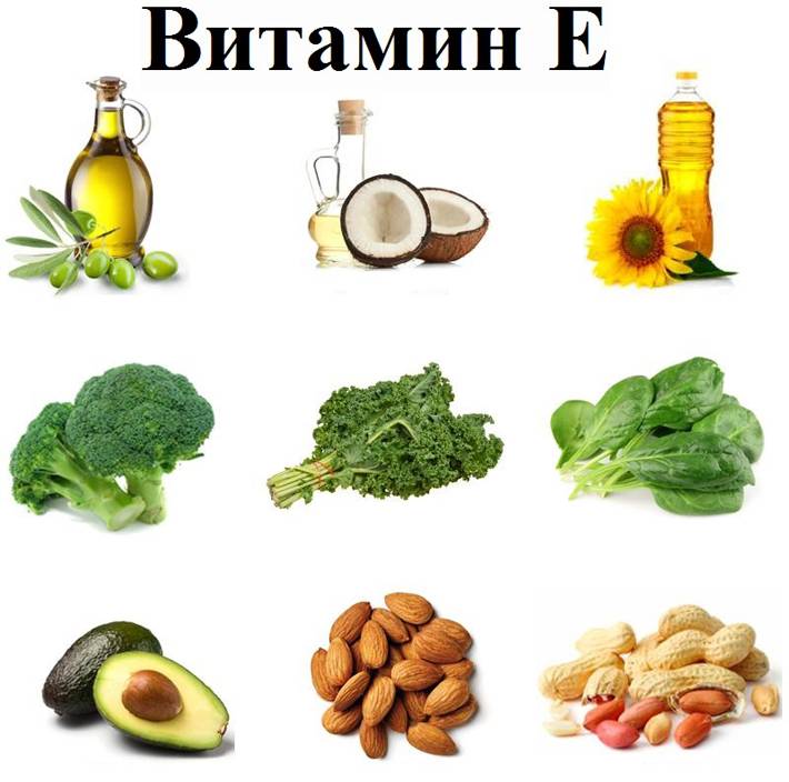 Содержание витамина е в продуктах питания