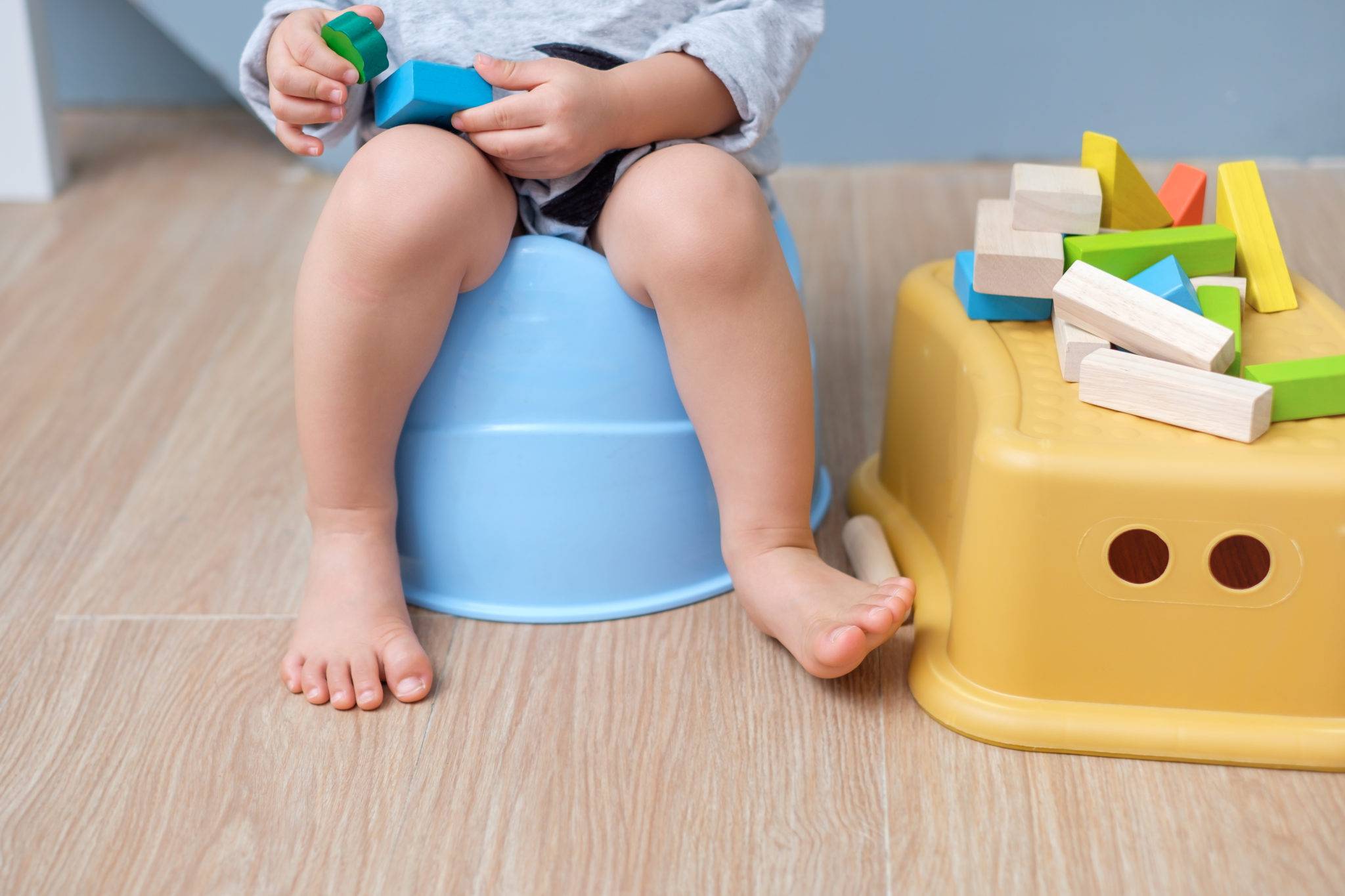 11 полезных советов, как приучить 3-летнего ребенка к горшку