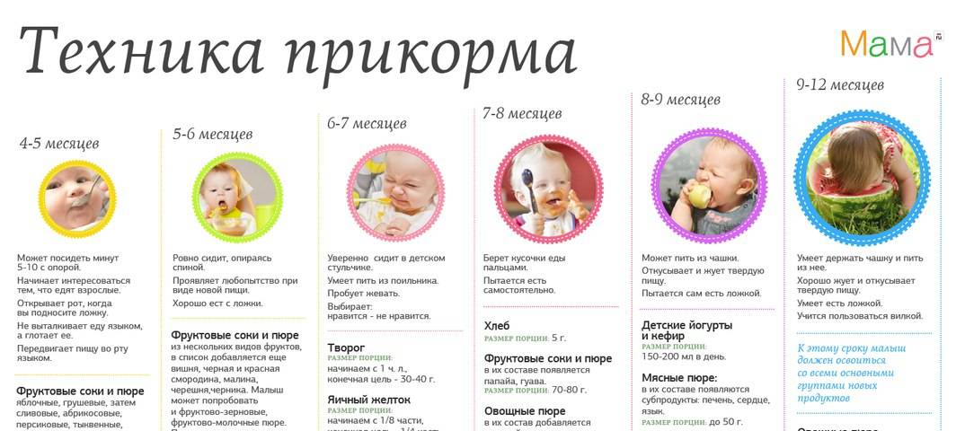 Первый прикорм малыша в 4-6 месяцев - с чего начинать с каши или овощного пюре? принципы, схемы введения прикорма - университет здорового ребёнка няньковских