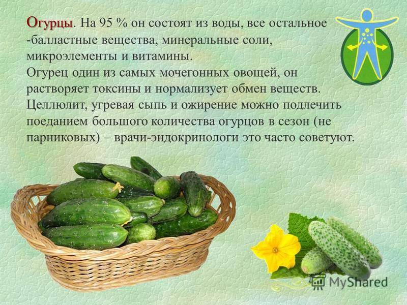 Со скольки можно соленый огурец