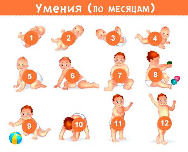 Как научить ребенка стоять без опоры: когда ребенок начинает вставать самостоятельно на четвереньки и ножки, ему нужны упражнения и массаж