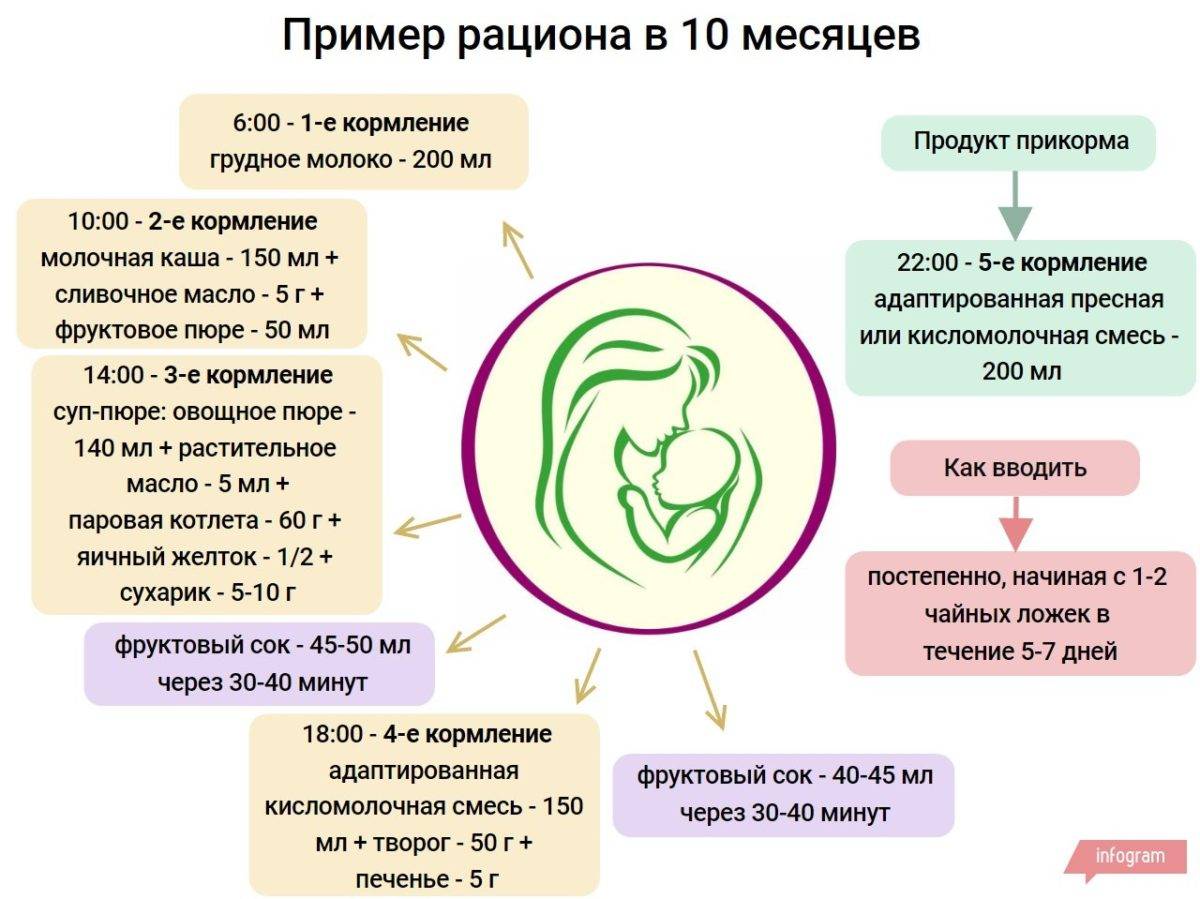 Прикорм ребенка с 10 месяцев - схема введения прикорма для малыша в 10 месяцев | prikorm.org