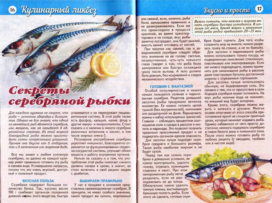Как и когда вводить прикорм и все сделать правильно / советы педиатра – статья из рубрики "как накормить" на food.ru