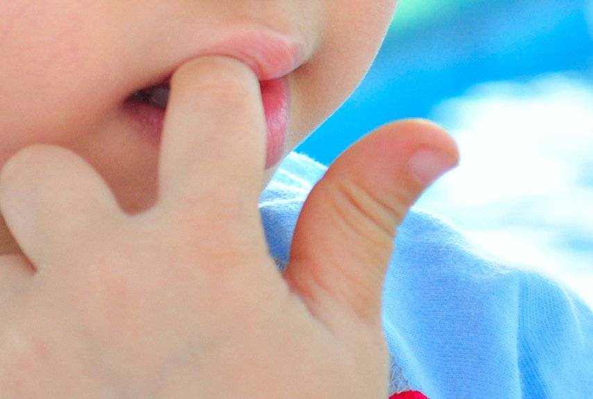 Как отучить ребенка сосать палец ???? в 1-2 года: советы комаровского