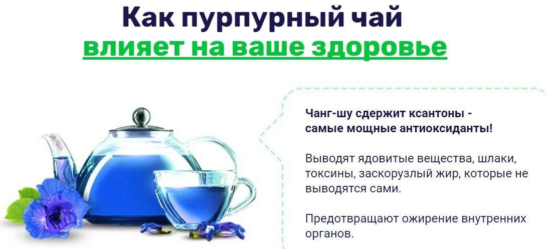 От чего пьют пурпурный чай чанг шу: все «за» и «против» действия, показания и противопоказания, польза и вред ???? официальный сайт пурпурный чай