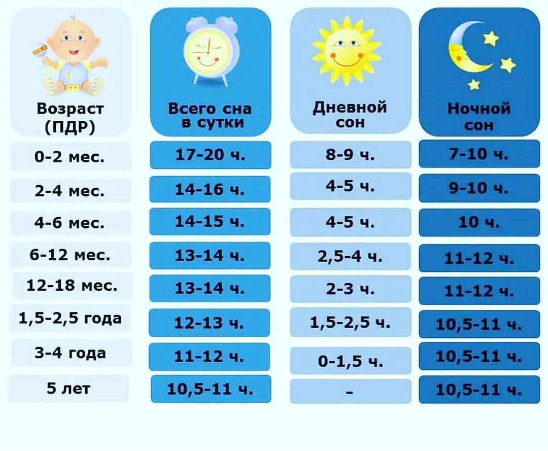Сколько ребенок должен спать в 10 и 11 месяцев: нормы дневного и ночного сна