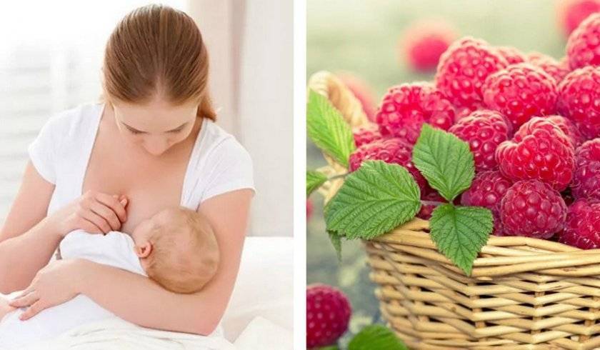Варенье при грудном вскармливании: можно ли кормящей маме в первый месяц и далее
