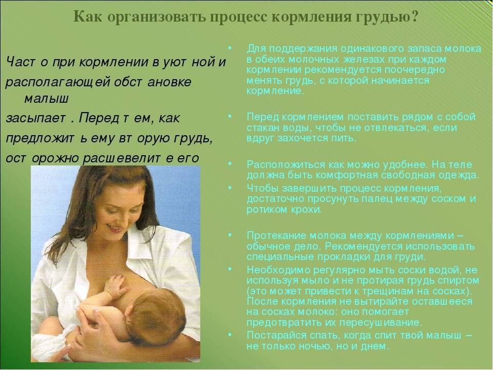 Период лактации: правильная подготовка груди к кормлению | parnas42.ru