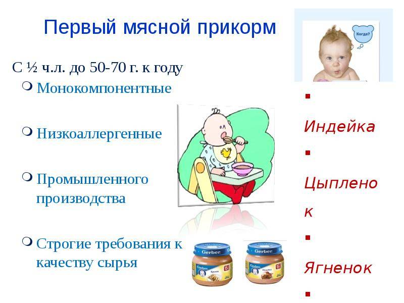Прикорм в 6 месяцев: какие продукты можно давать ребенку