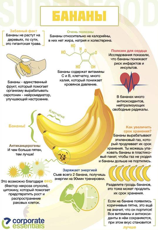 3 правила употребления бананов при грудном вскармливании