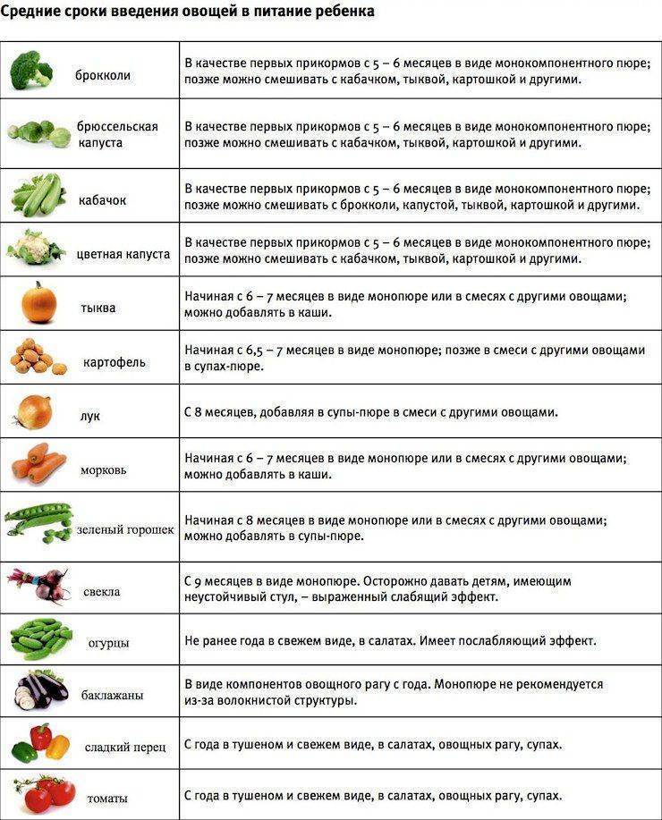 Помидоры в питании детей: максимум пользы и приятный вкус. с какого возраста можно давать ребенку помидоры - onwomen.ru
