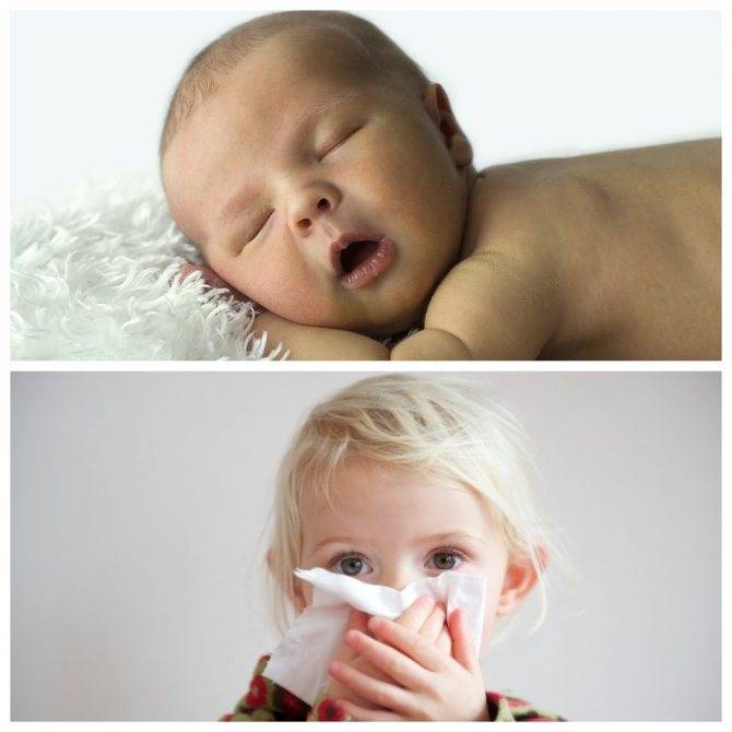 Аллергия на пыль: причины, симптомы, лечение | энтеросгель