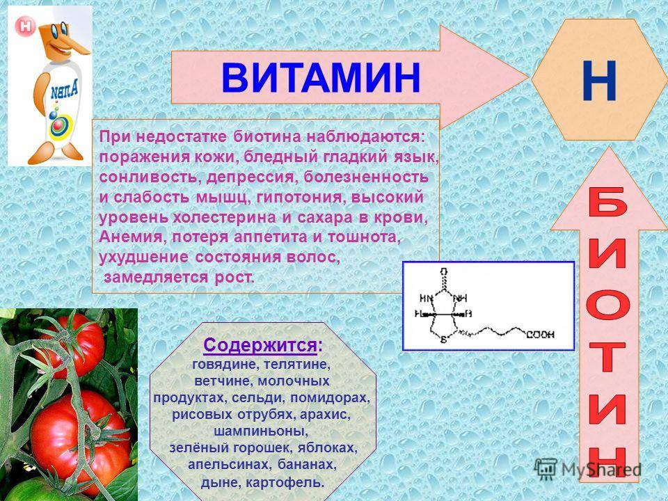 Презентация на тему витамин к