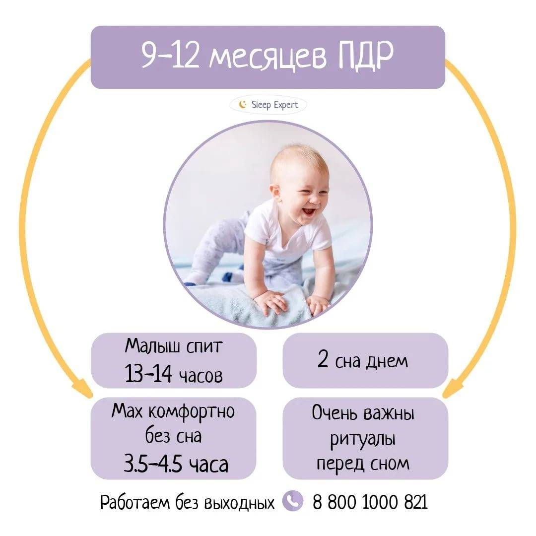 программа фото ребенка по месяцам