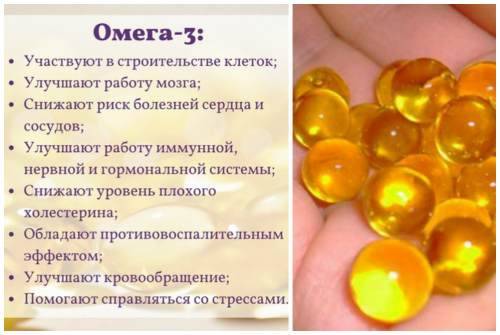 Все про рыбий жир и омега-3 кислоты для детей - omega-3 | рыбий жир | lysi россия