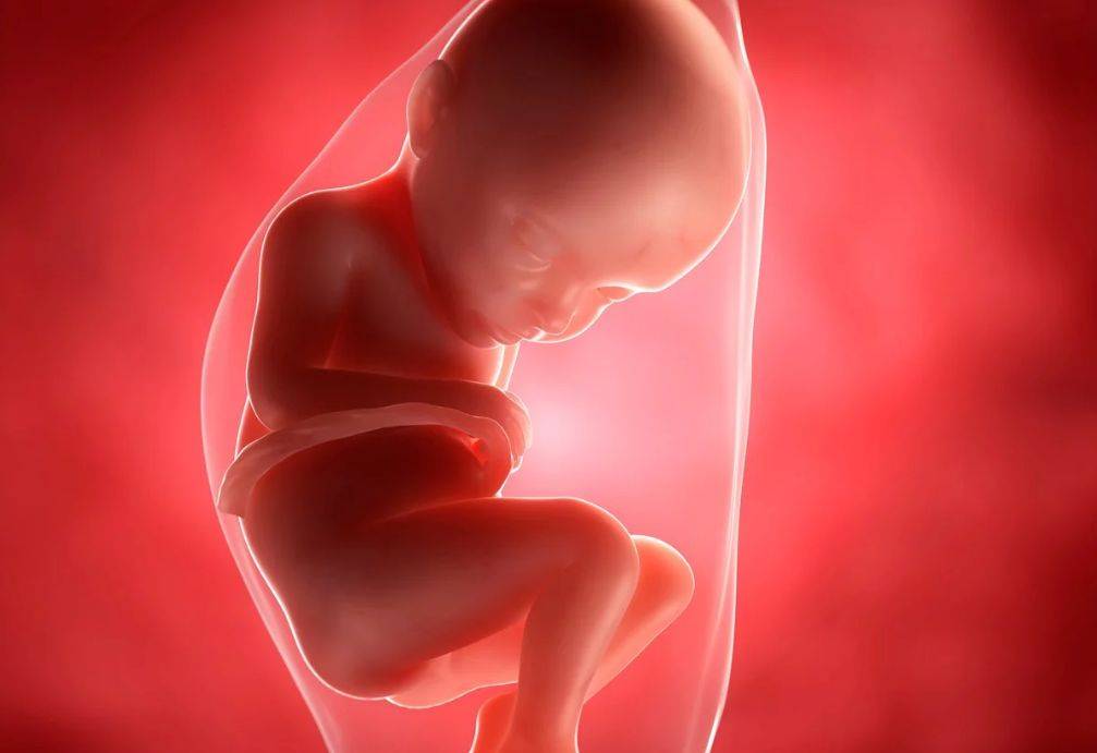 Протекание беременности на 32 неделе — состояние здоровья мамы и малыша | аборт в спб
