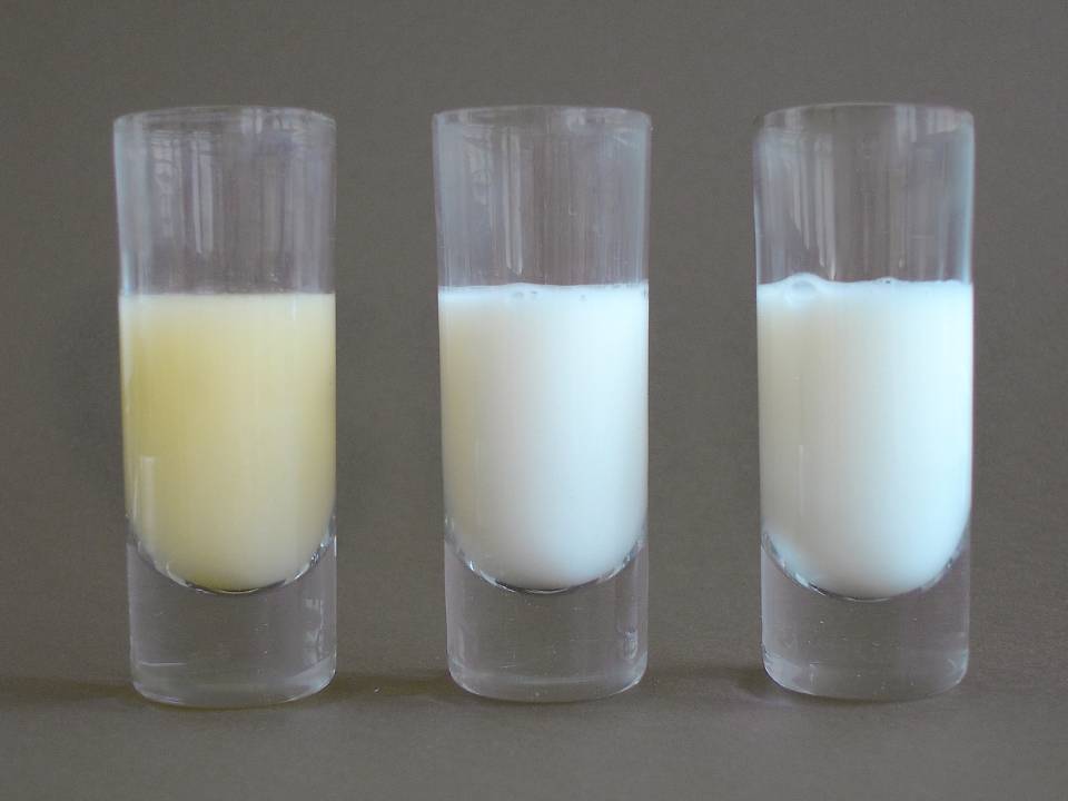Молоко: польза и вред | food and health