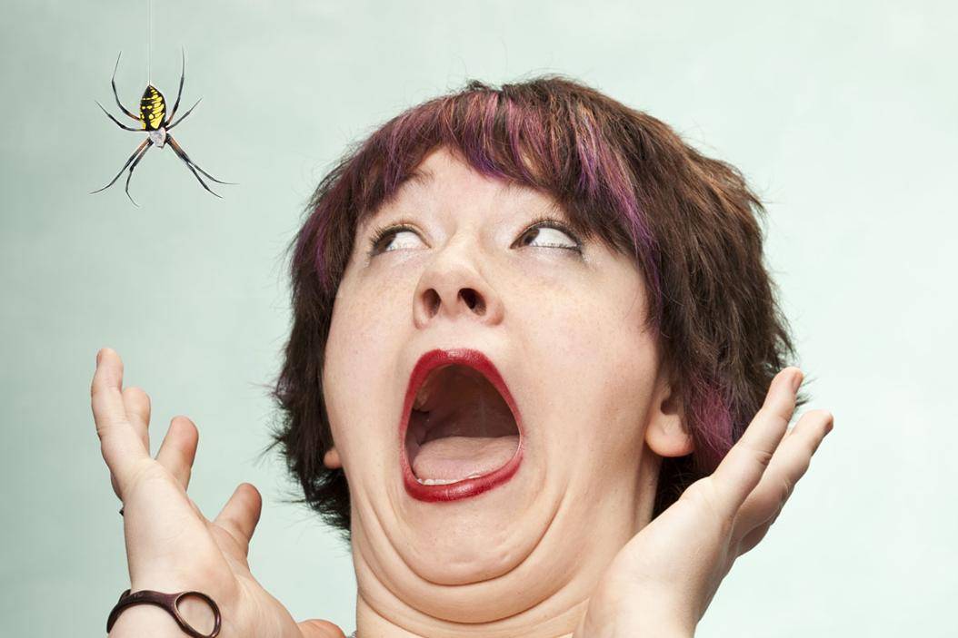Что делать, если ребенок боится насекомых? 3 важных шага от ужаса к любопытству