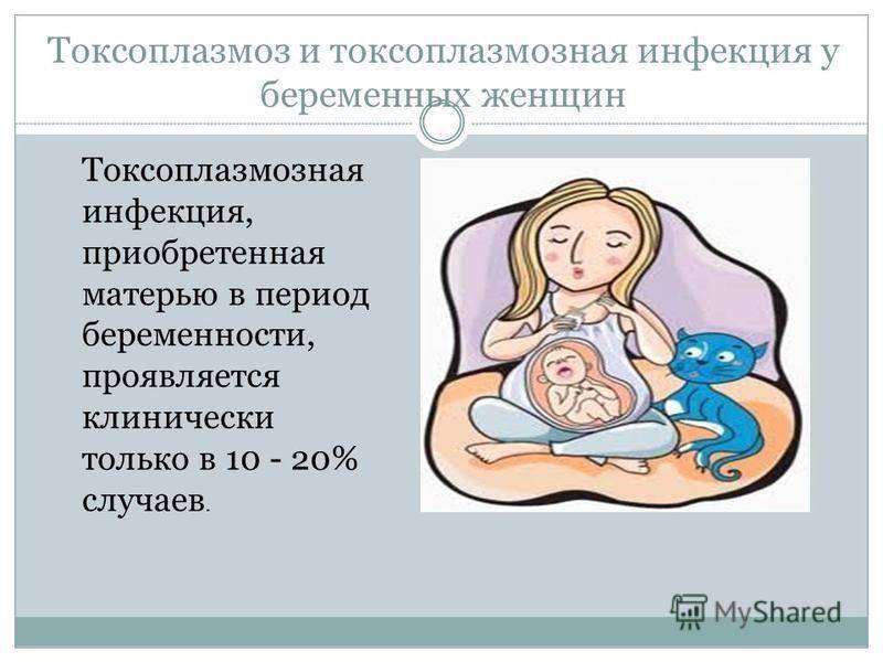 Токсоплазмоз при беременности - белая клиника