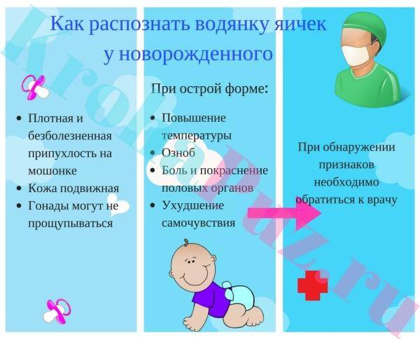 Лечение водянки яичка у новорожденных и взрослых мужчин