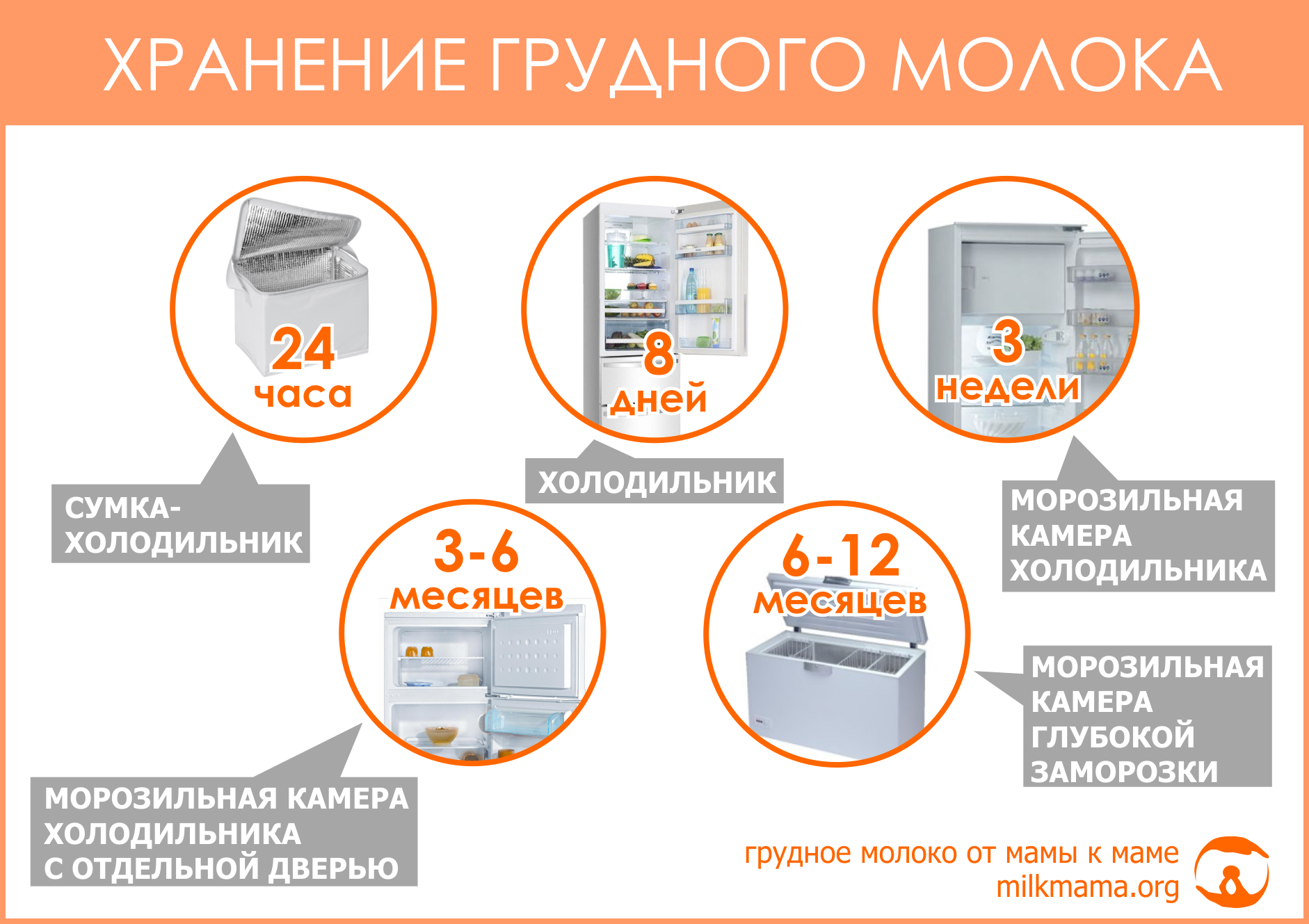 Как хранить грудное молоко. Хранение сцеженного грудного молока. Срок хранения грудного молока. Срок годности хранения грудного молока. Срок хранения грудного молока после сцеживания.