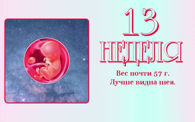 13 неделя беременности