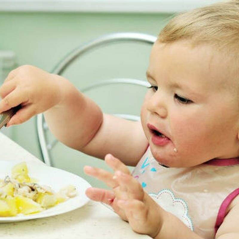 Что делать, если маленький «нехочуха» не ест прикорм