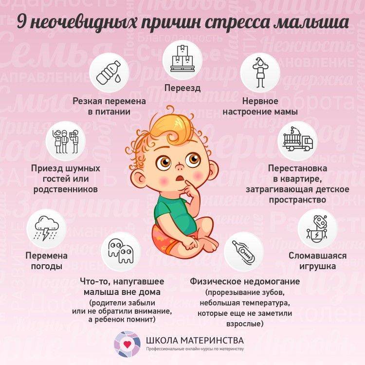 Что должен уметь ребенок в 8 месяцев: развитие и навыки восьмимесячных девочек и мальчиков