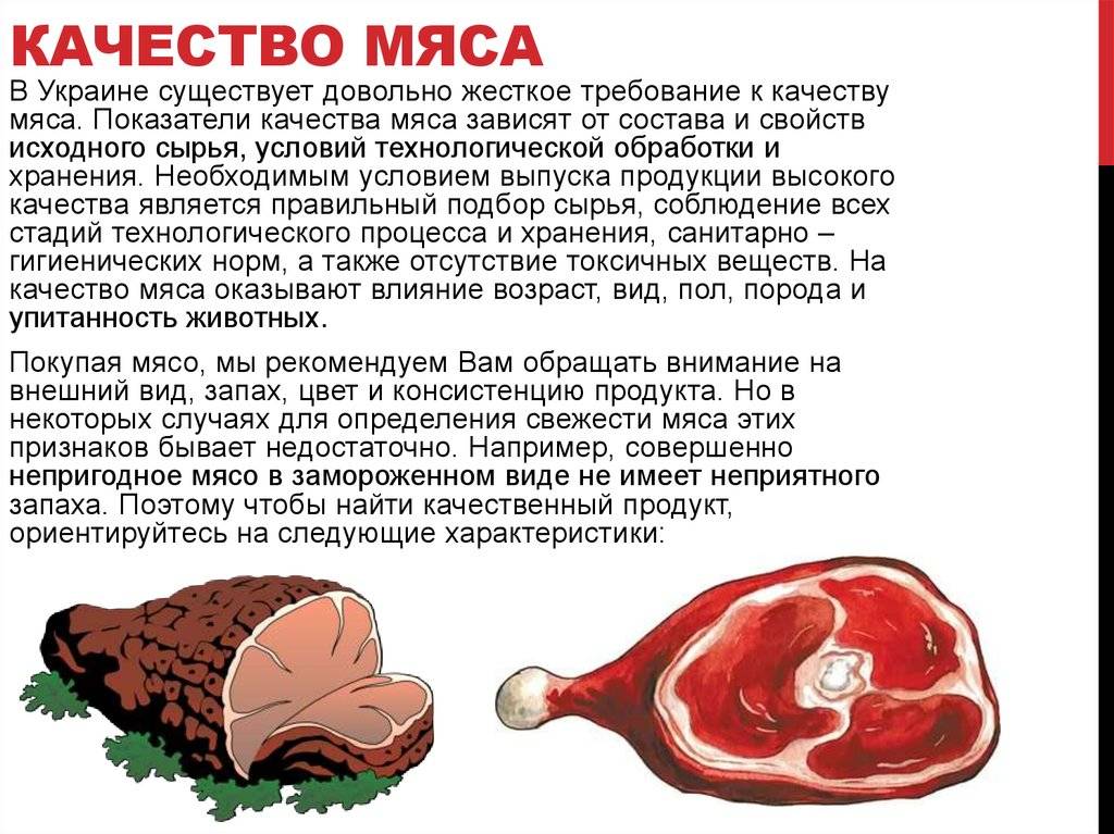 Мясо при беременности