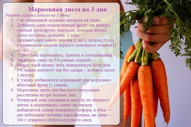 В каком триместре полезно есть морковь при беременности